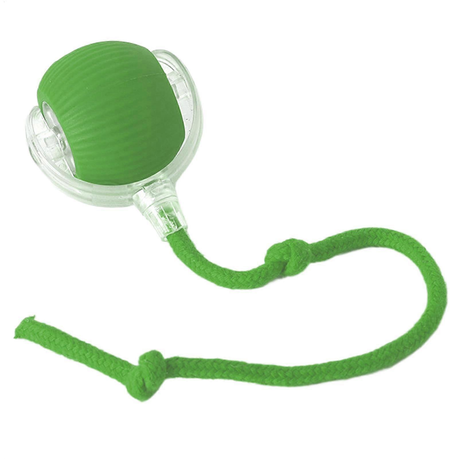 Interactive Cat Toy Ball with Automatic Motion for Indoor Cats and Dogs, Exercise Play Ball