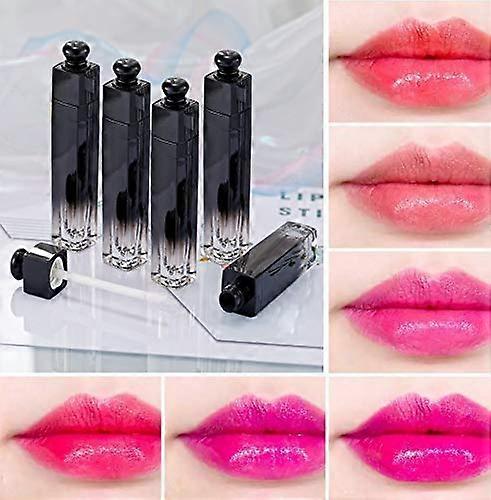 10 PCS 5ml Empty Lip Gloss Tubes with Wand, Refillable Gradient Black Containers, LeakProof Design