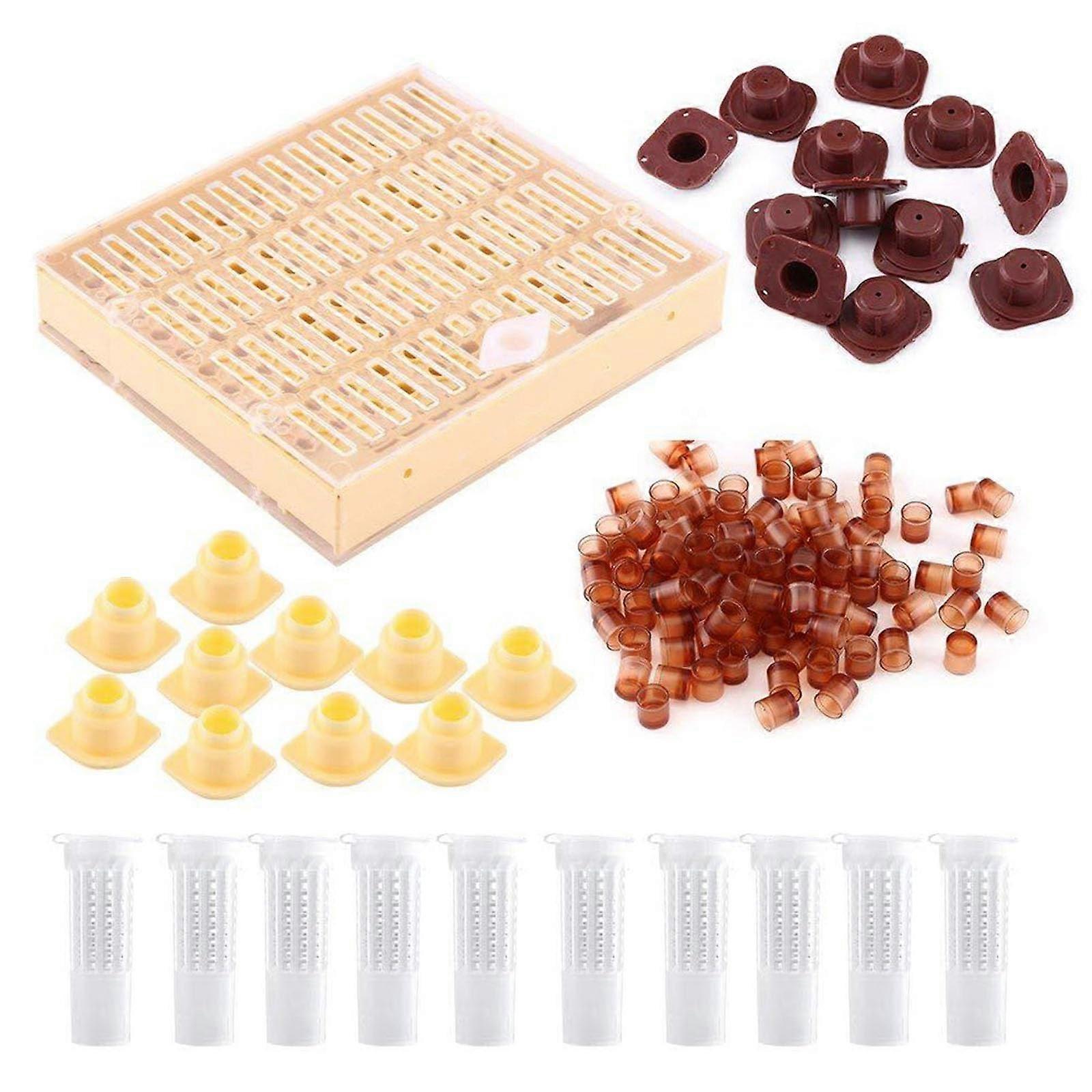 Professional Beekeeping Queen Rearing Box Boosts Queen Production for Apiary Expansion