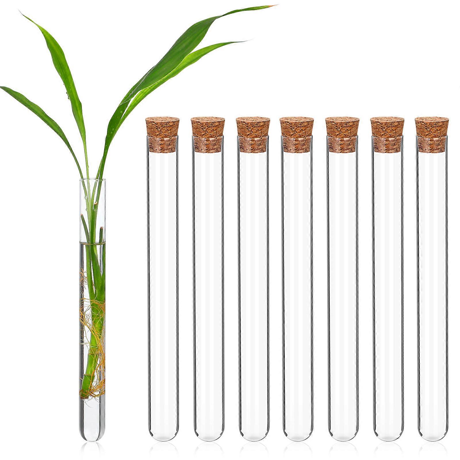 Glass Test Tubes with Stoppers for Liquid Storage 8Pcs Durable Set