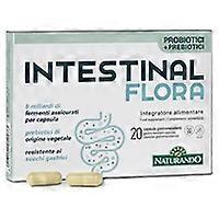 Intestinal flora 20 capsules