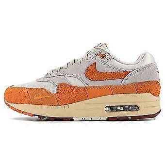 Nike Air Max 1 'Master Magma Orange' Women's DZ4709-001