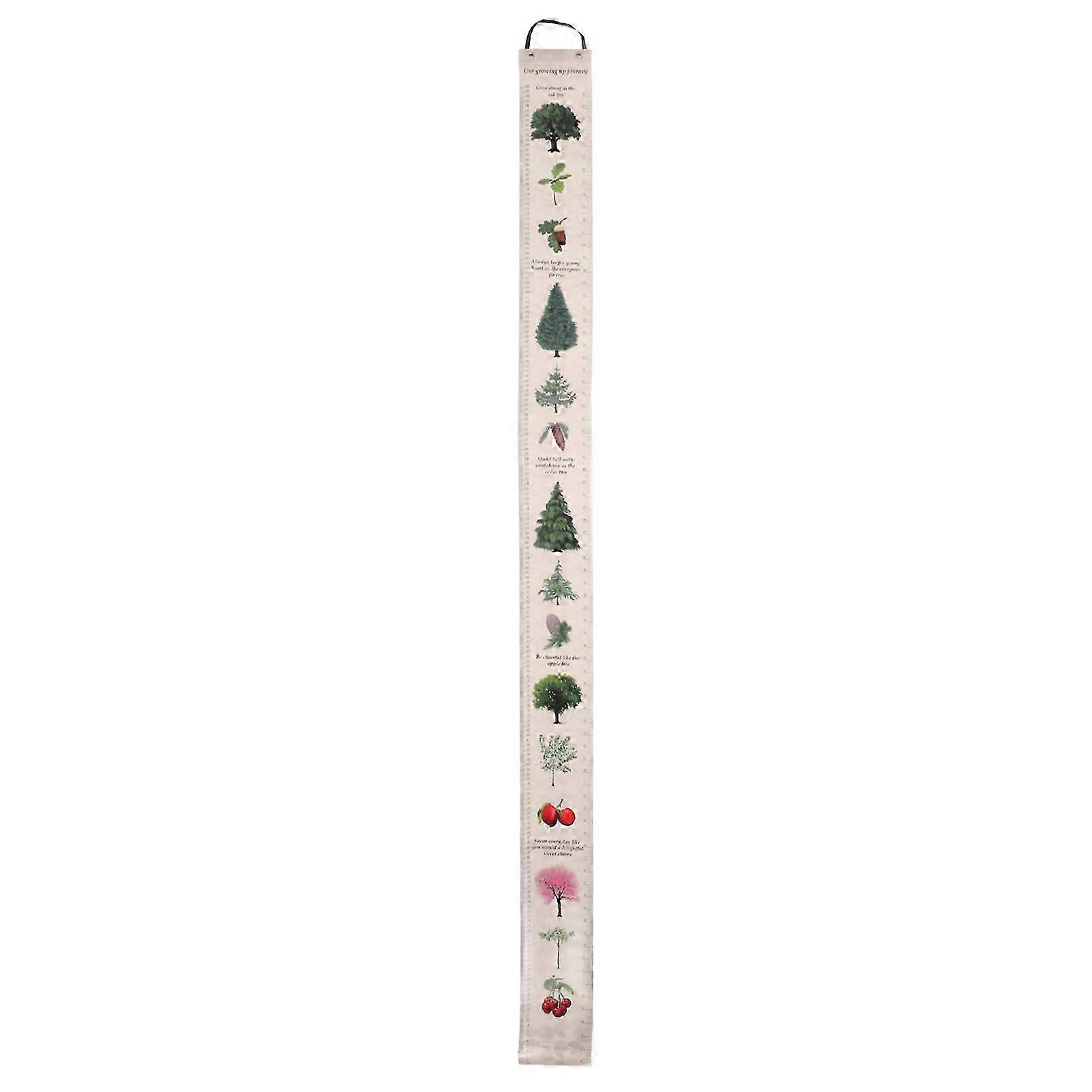 Birch Dual Scale Waterproof Height Chart