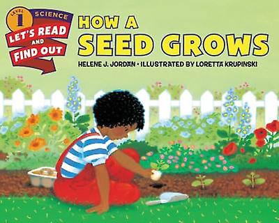 How a Seed Grows