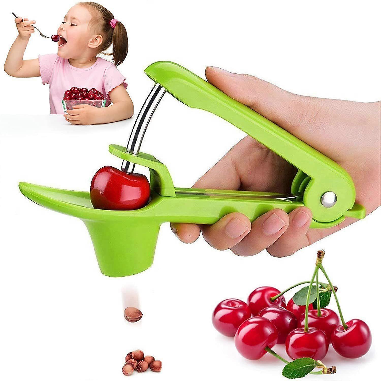 Multi-Function Portable Cherries Pitter Stainless Tool