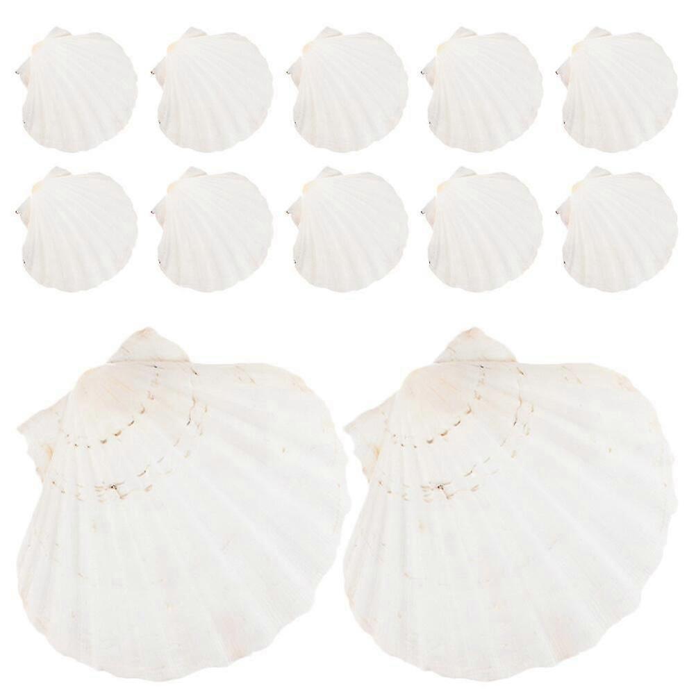 12pcs Natural Baking Seashells Food Cooking Steaming Seashells Tableware
