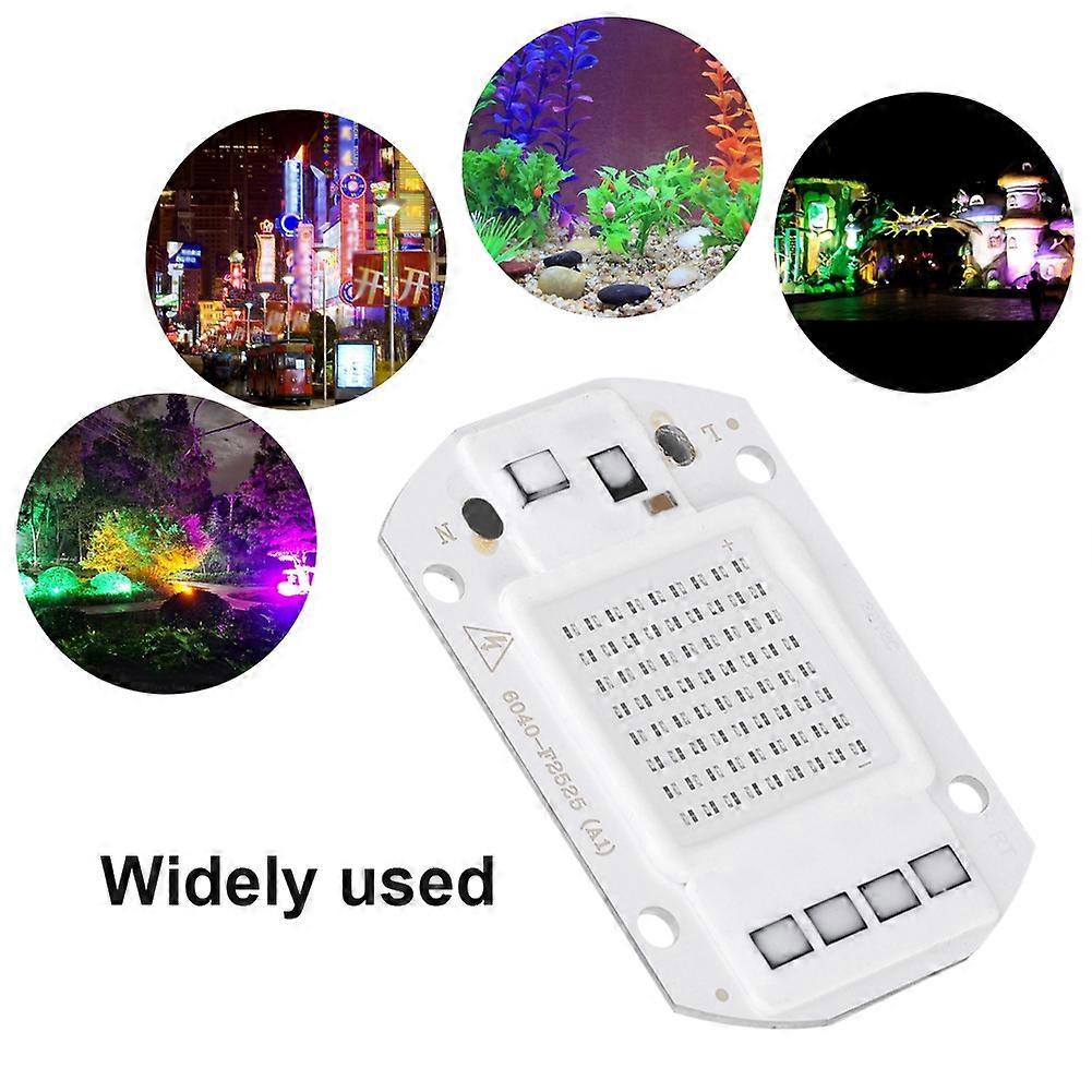 AC220V 50W 6040 Blue COB LED Chip Light Source 4500-5000lm