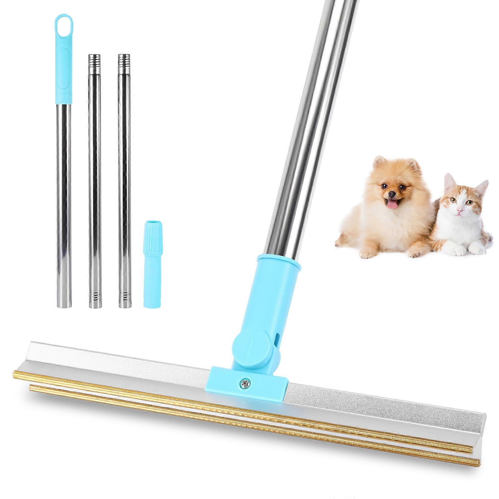 Hair Removal Broom - Telescopic Long Handle