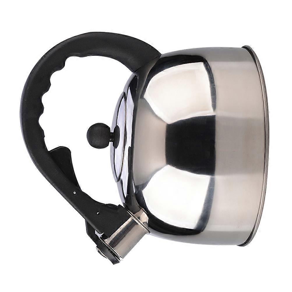 Stainless Steel Kettle for Heating Tea Coffee and Mulled Wine Multi Color 3L Sounding Pot