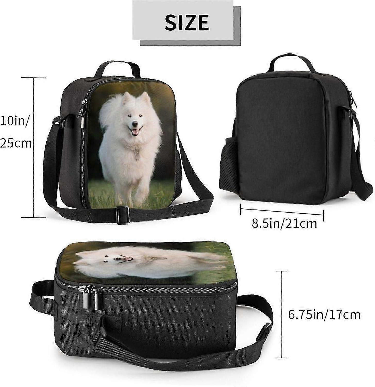 Insulated Lunch Box for School Camping 2025