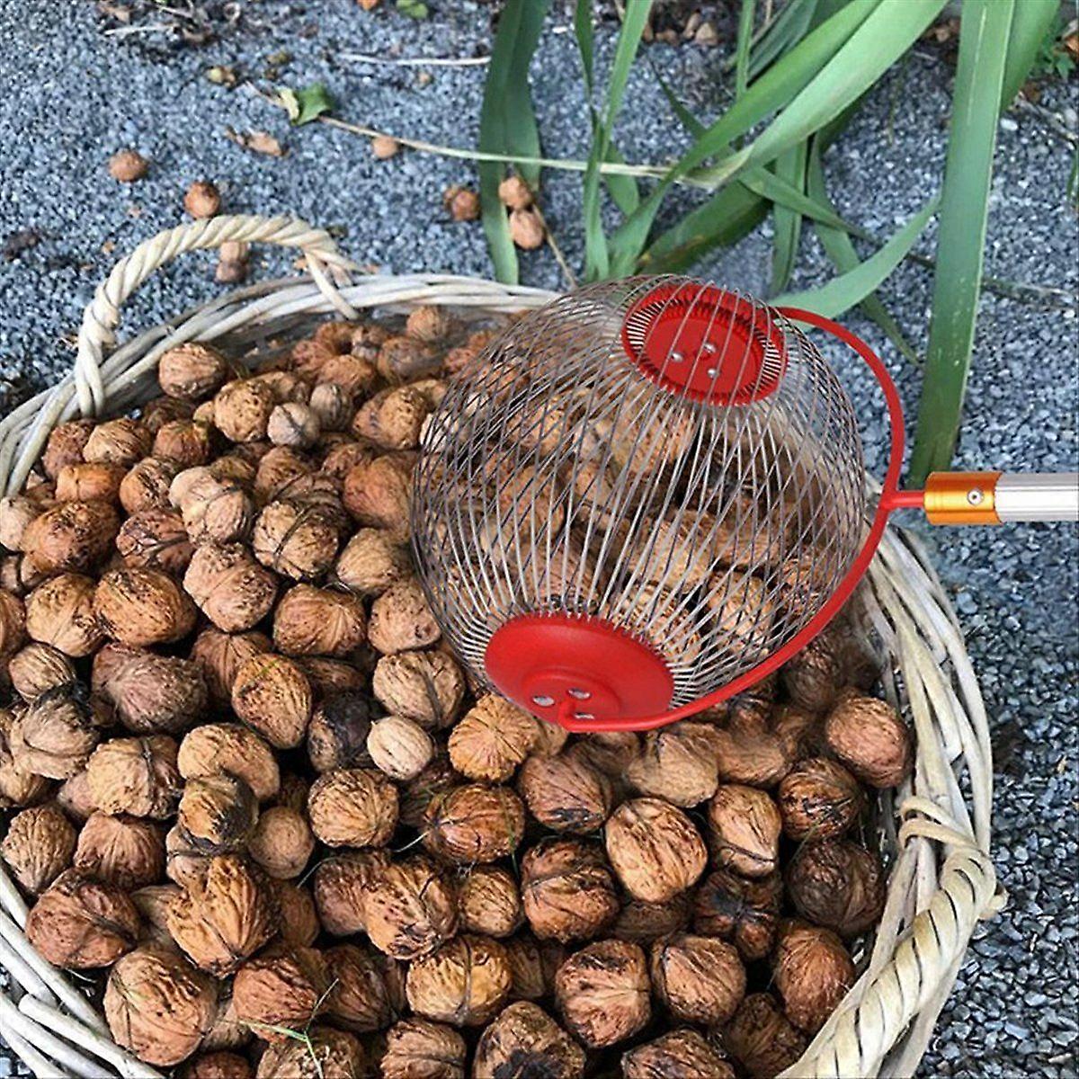 Nut Picker for , , Walnut Waste Collection Small Ball