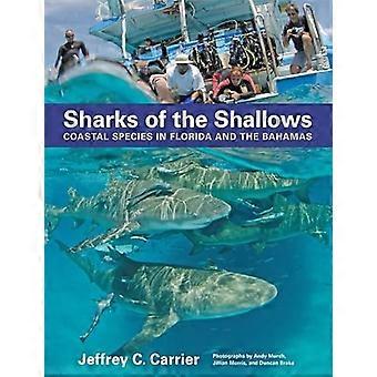 Sharks of the Shallows Coastal Species in Florida and the Bahamas