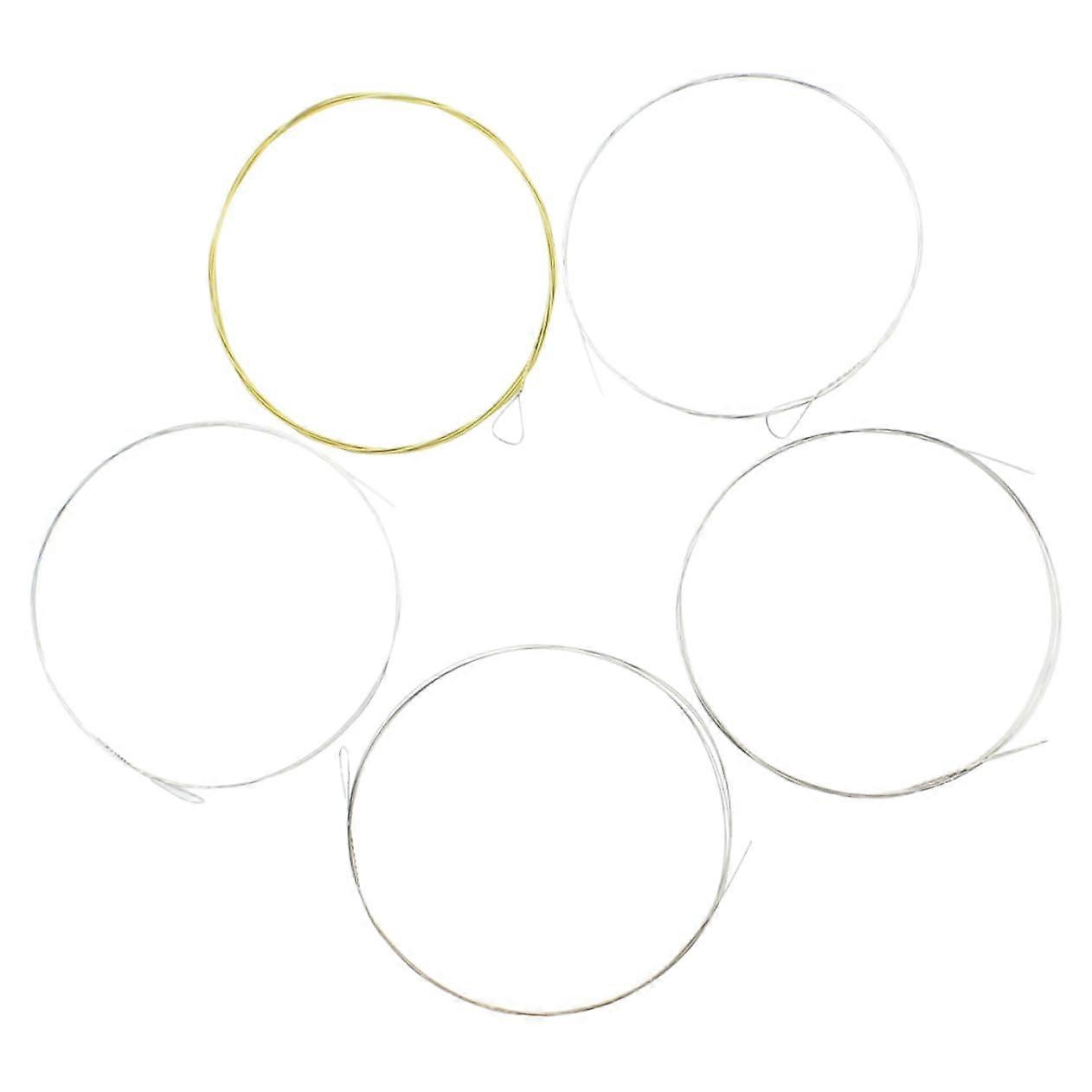 5 String Banjo Strings Set with Consistent Tone Quality and Stable Tuning for Professional Play