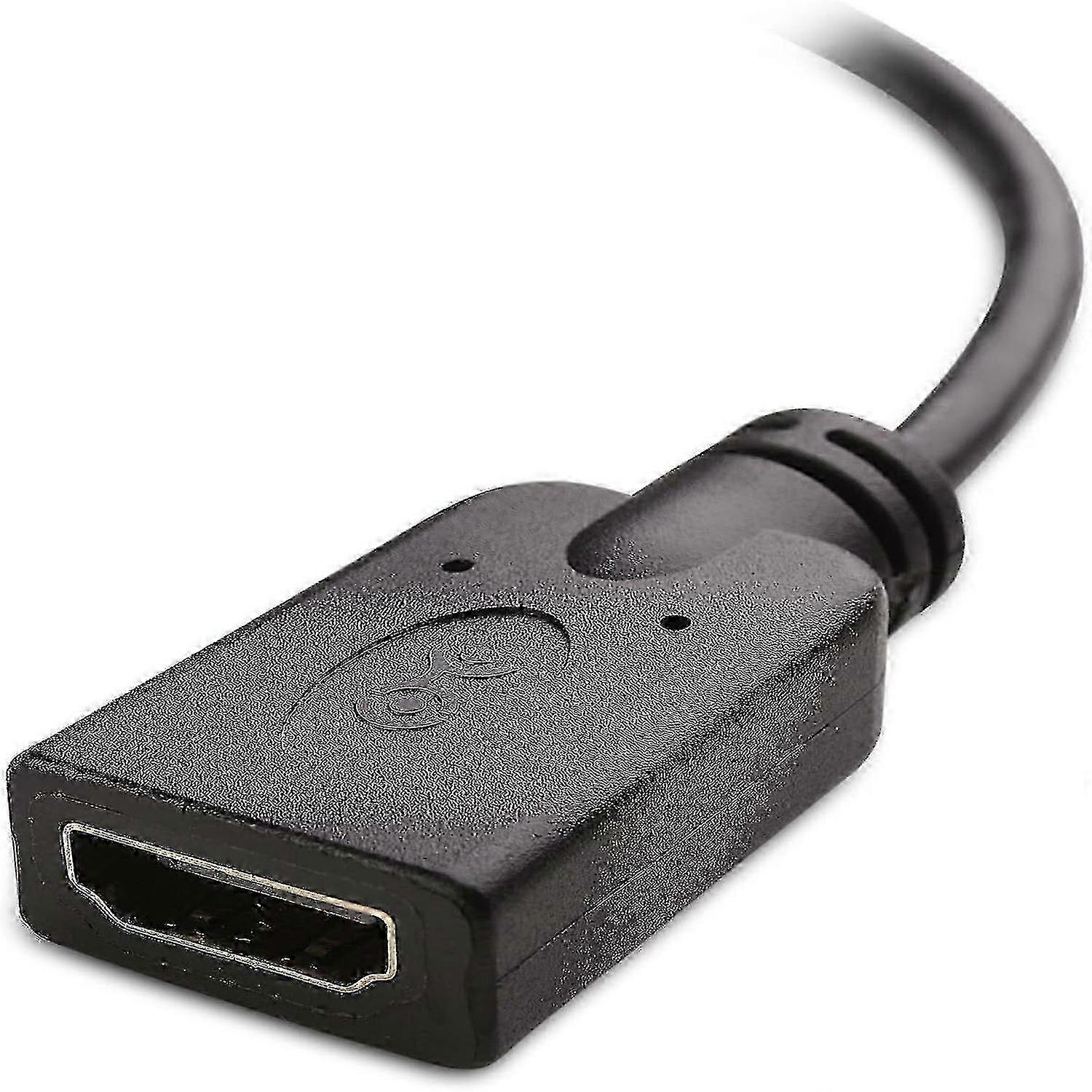 HDMI 2.0 Micro HDMI Adapter