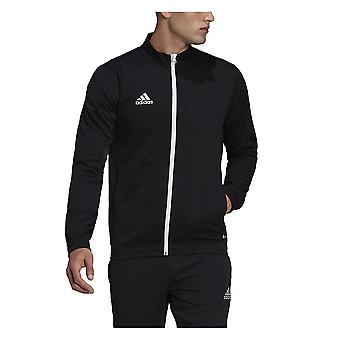Adidas Entrada 22 HB0573 allenamento tutto l'anno uomo