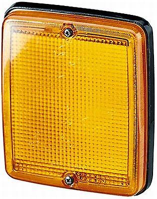 Direction Indicator Turn Signal Light Lamp Lens