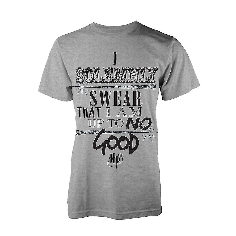 Harry Potter İyi Bir Tişört Yok
