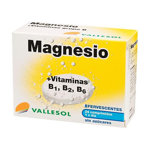 Magnesium and Vitamins B1,2,6 24 tablets