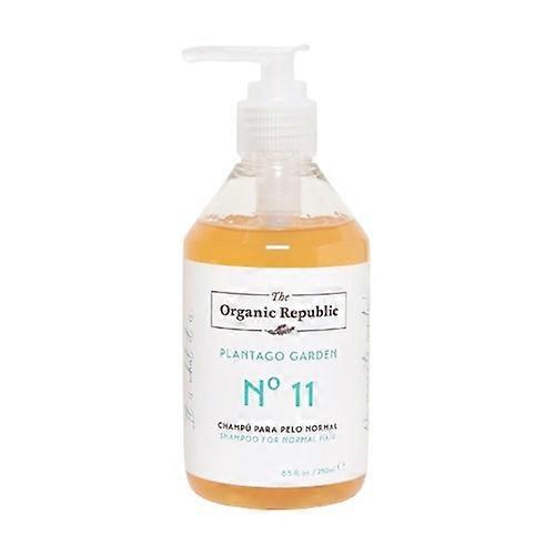 Redensifying shampoo 250 ml