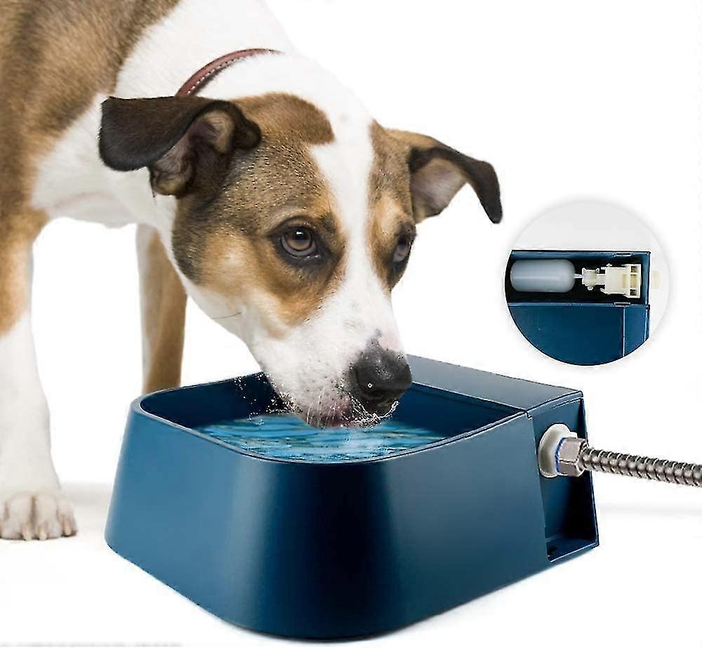 Float Pet Drinker Automatic Dog Drinker Float Drinker With Float Valve For Dog