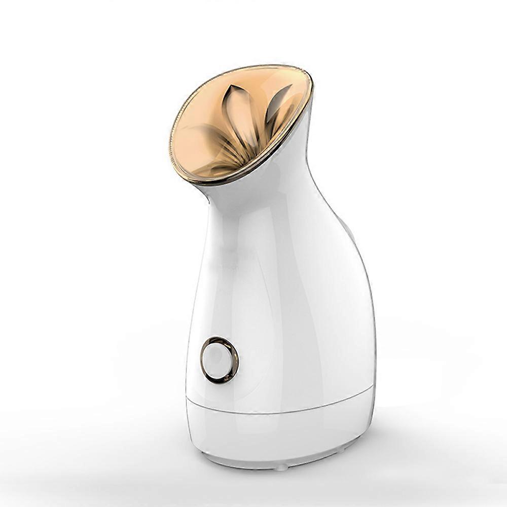 Ansiktsdamper, Nano Ionic Warm Mist Spa ansiktsdamper Hot Mist