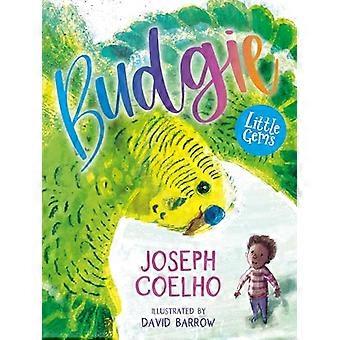 Little Gems Budgie
