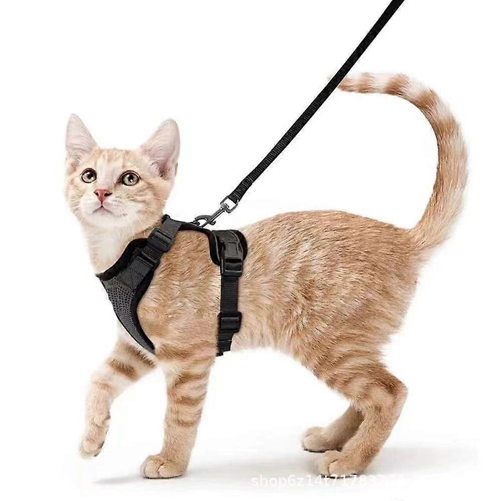Rabbitgoo Cat Harness And Leash For Walking, Escape Proof Soft Adjustable Vest Harnesses For Cats, Easy Control-hy -HK603