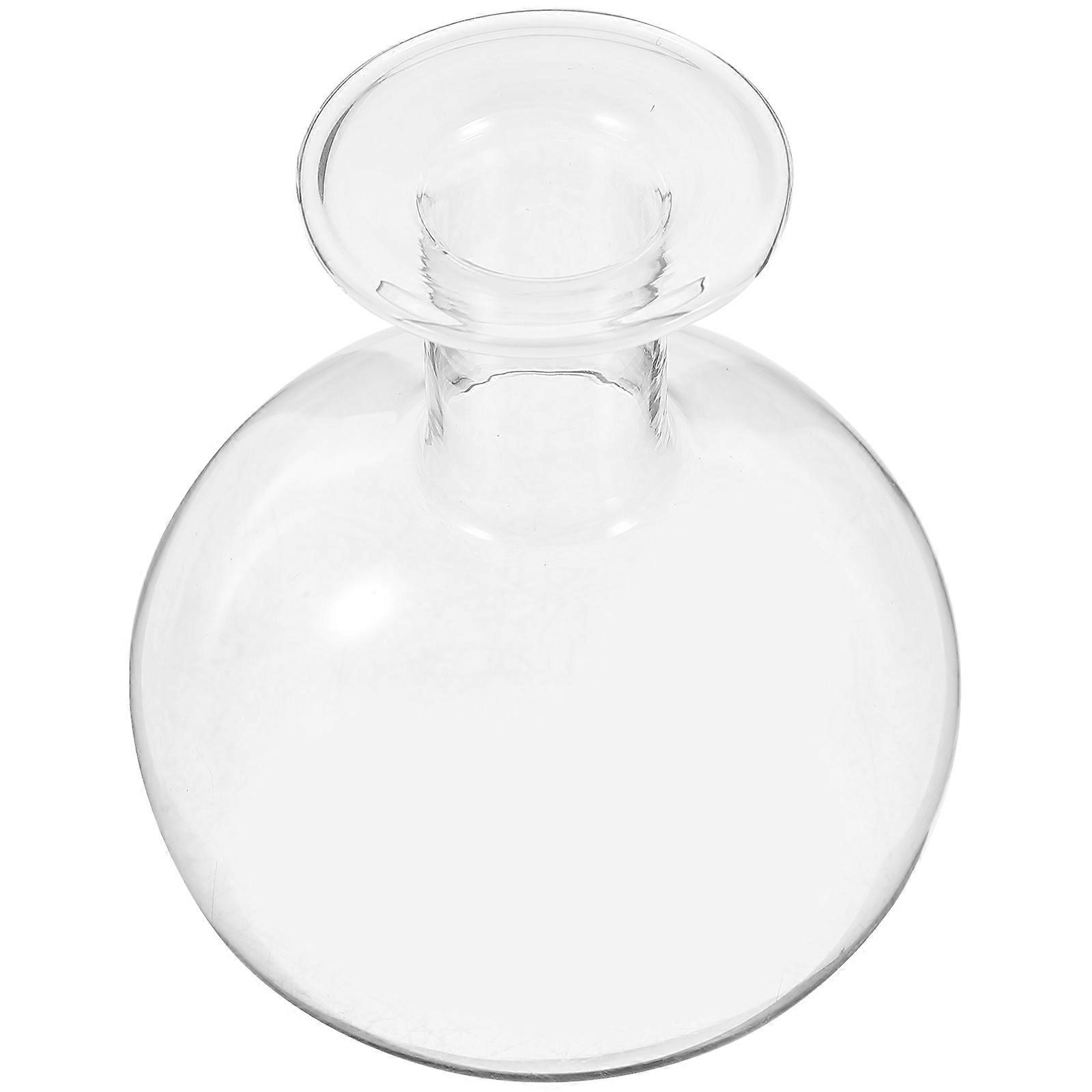 Modern Transparent Glass Hydroponic Flower Vase – Round Bottom Decorative Plant Container for Home and Office Centerpieces