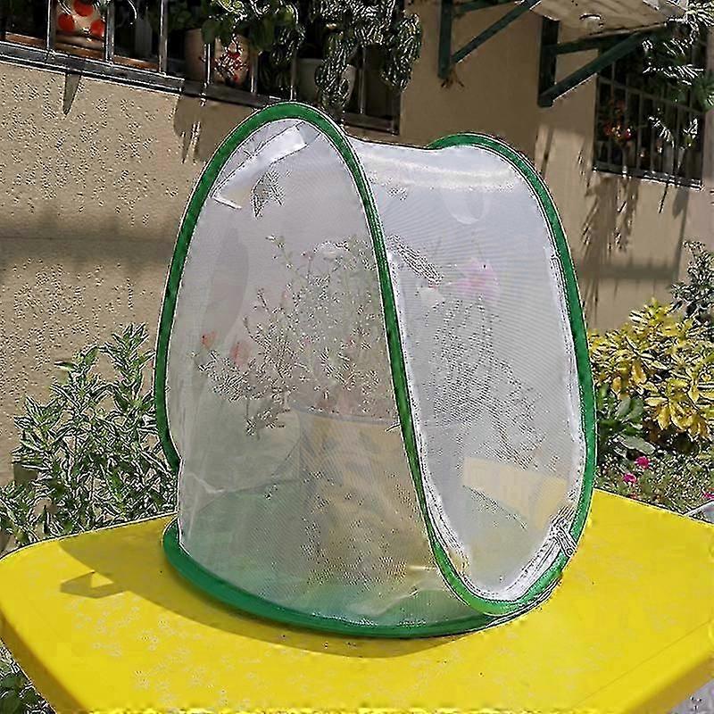 保護透明カバー付きグリーンミニ植物温室テント植物グローハウスポータブル折りたたみ式ガーデニング植物保護カバー