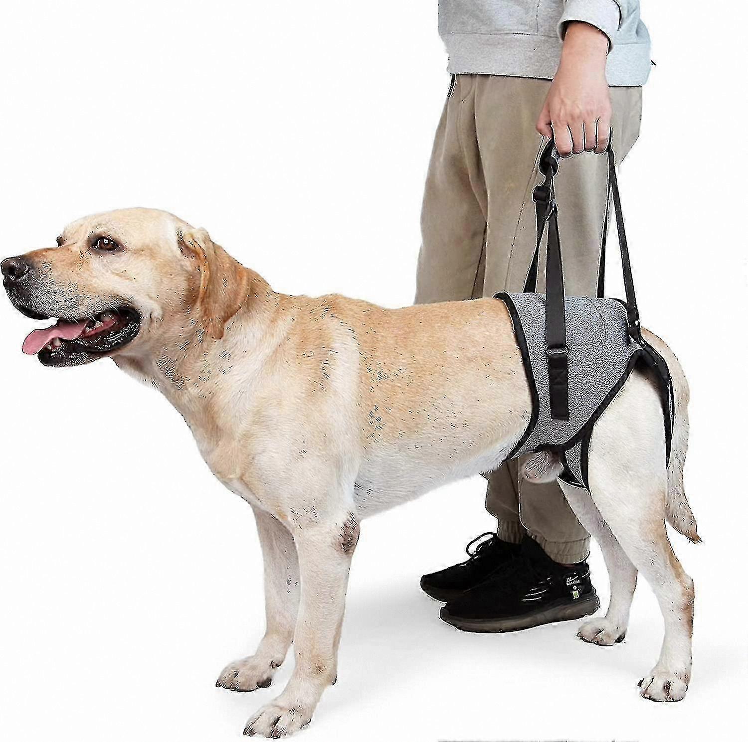 Supportive Dog Sling for Large Breeds with Weak Hind Legs to Aid Mobility and Recovery
