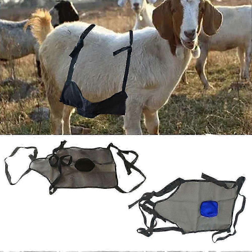 Goat mating apron for anti breeding and adjustable fit