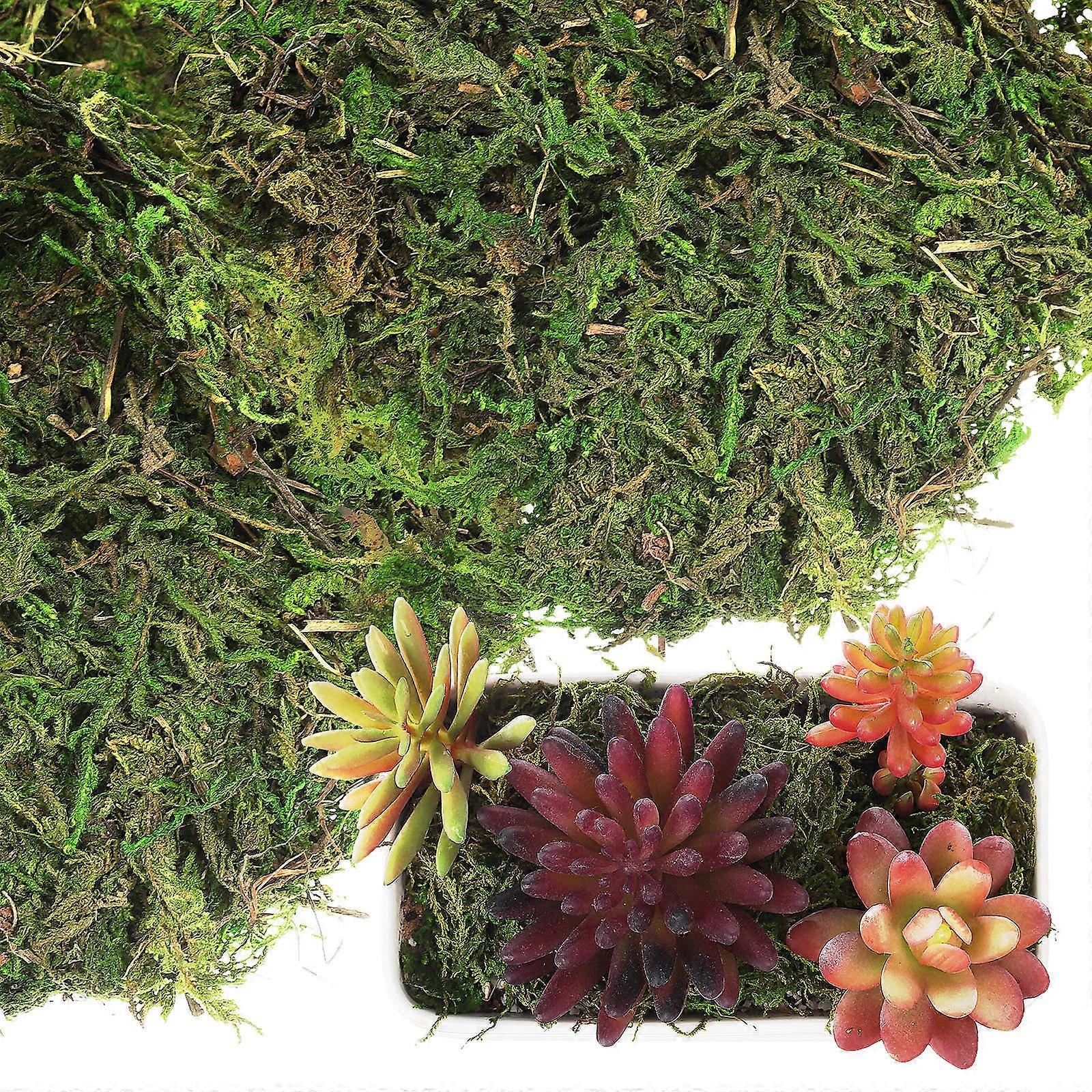 Artificial Green Moss Decorative Moss for Plants 2Pcs for Crafts