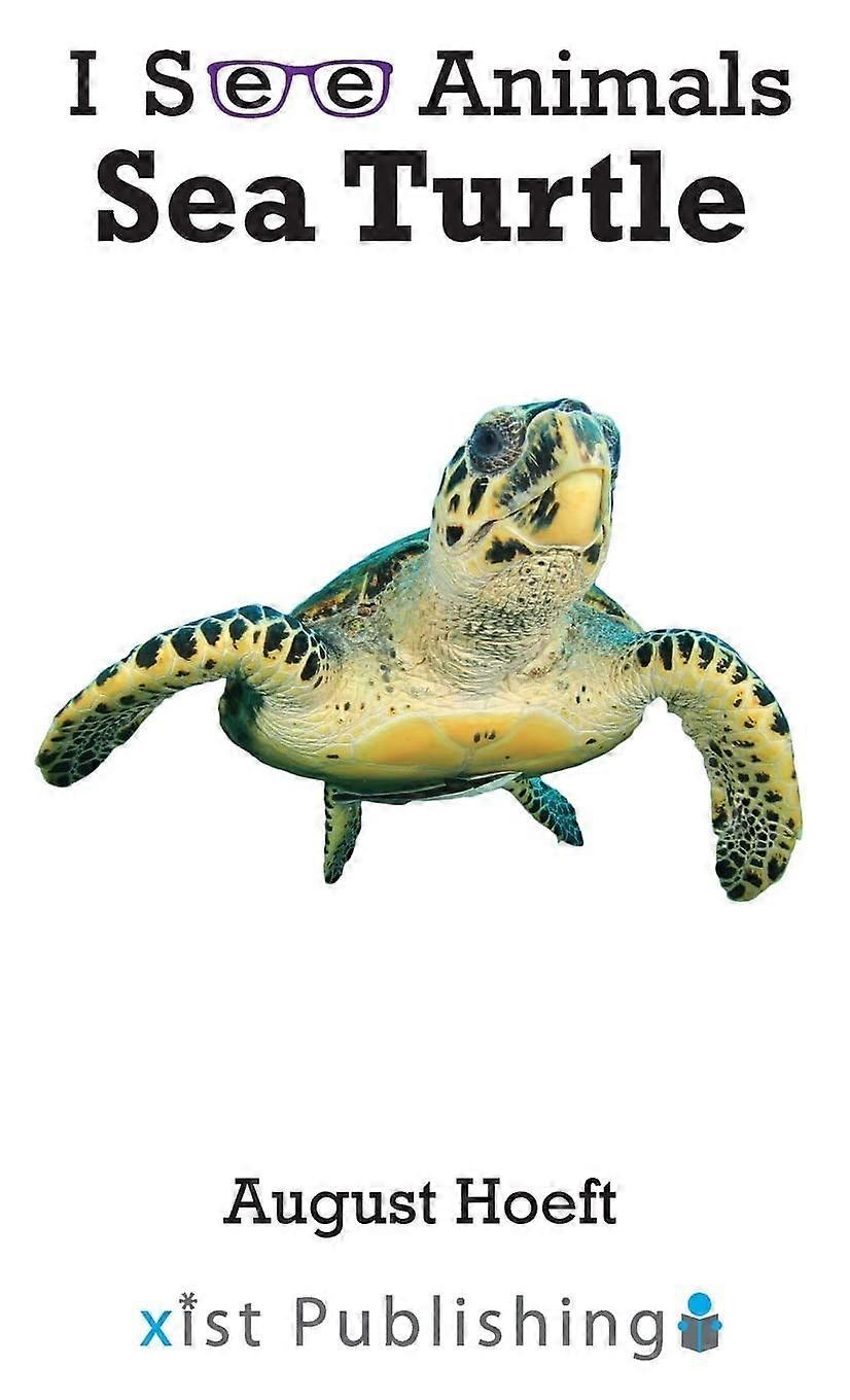 Sea turtle