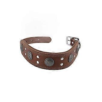 Cowhide Leather Pet Dog Collar Retro Comfortable Metal Alloy Decoration Adjustable Medium