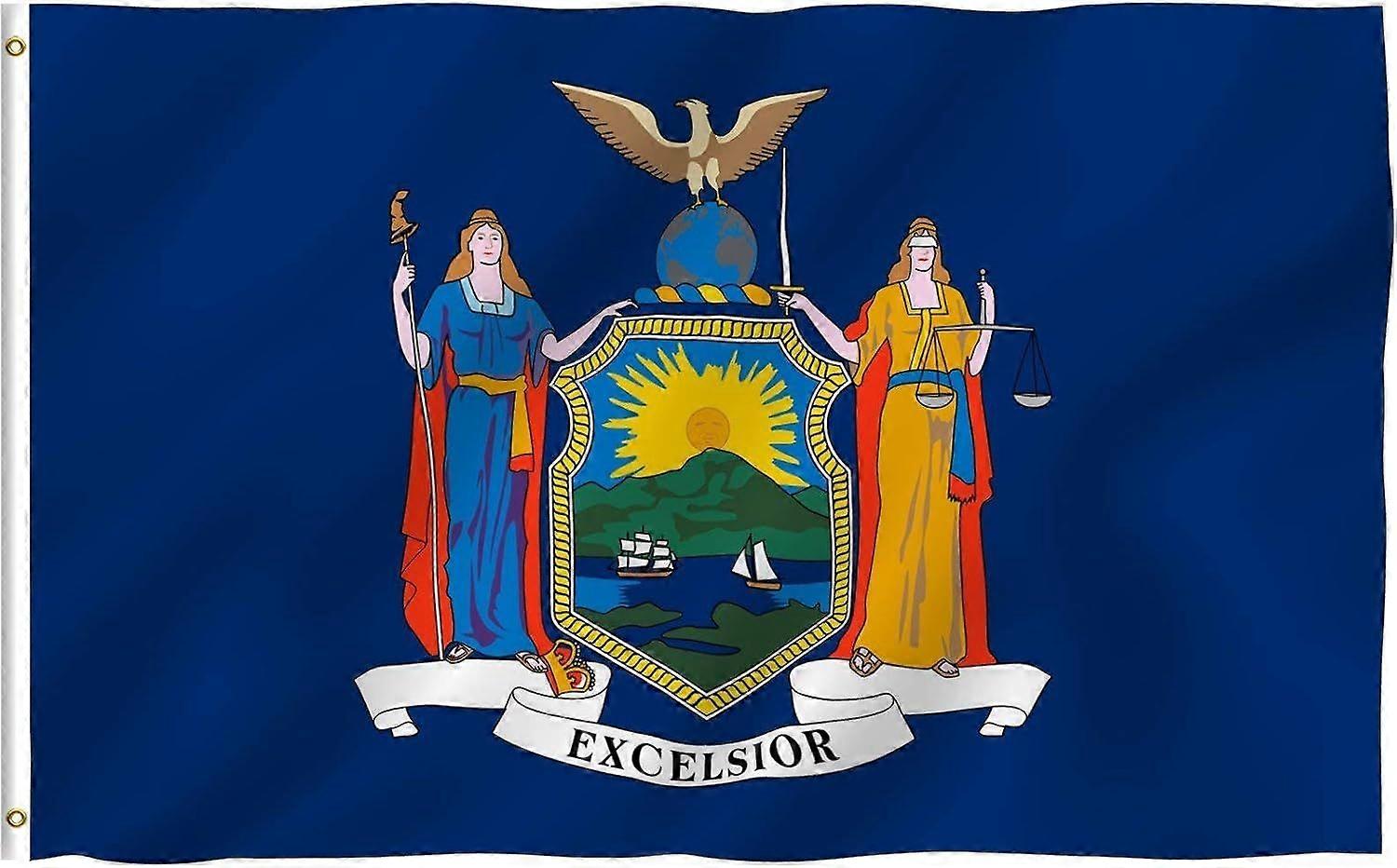 New York State Flag TT02