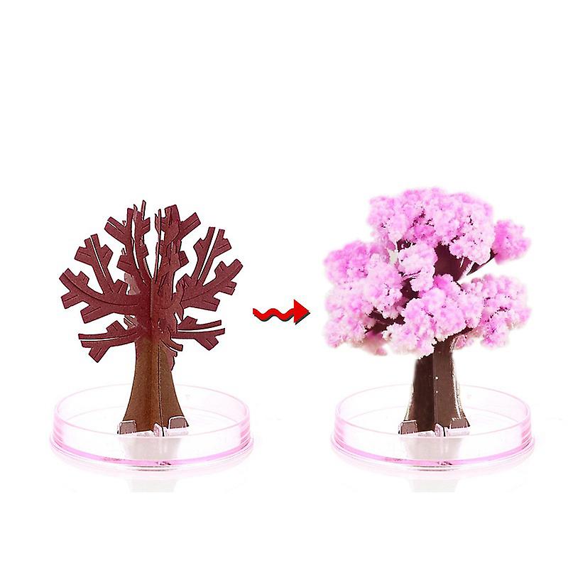 Magic Growing Tree Paper Sakura Crystal Trees Desktop Cherry Blossom Toys