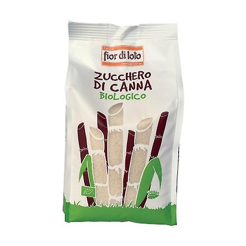 Raw cane sugar 1 kg