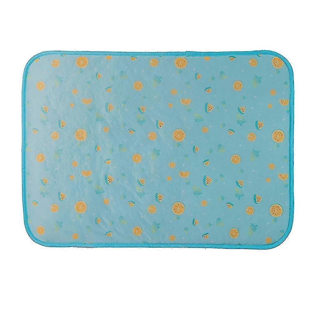 Pet Mat Non Slip Water Absorbent Cool Mat Cat Dog Mat