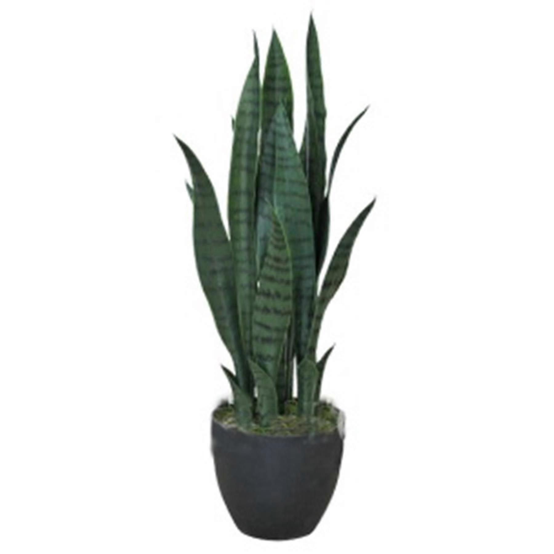 70cm Artificial Sansevieria Dark Green