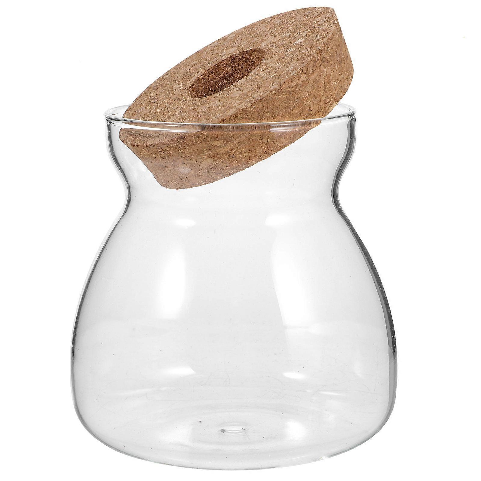 Glass Terrarium Jar for Storage Use with Hole Lid Multiuse Container