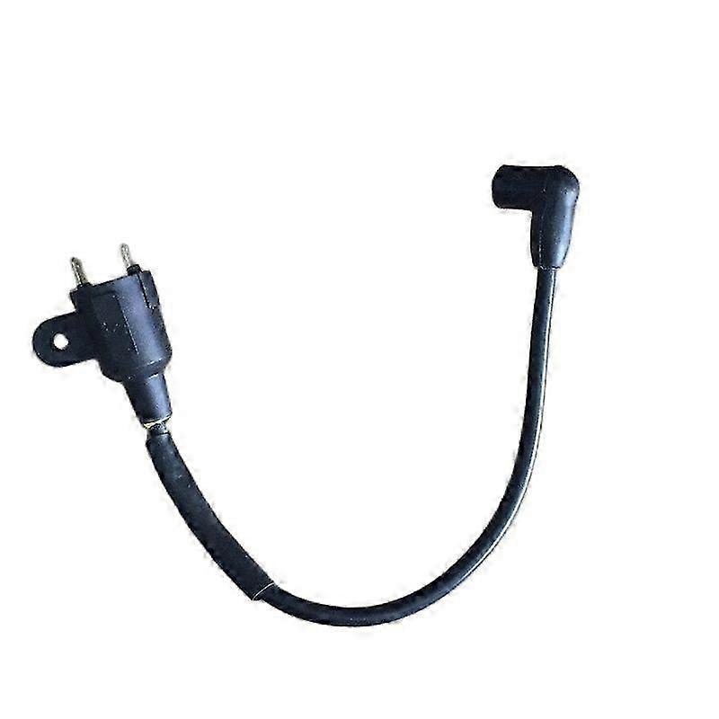 ET950 ET650 Ignition coil for Generator TG950 650 W 950 W 1000 W 1KW 2 stroke 1E45 Generator spare parts Edition 0923