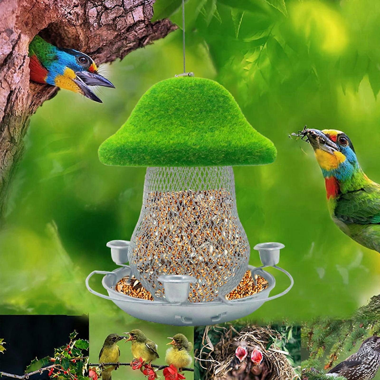 maxiaoxia Bird Feeder Hummingbird Feeder Dropper Courtyard Hanging Type Hummingbird Feeders for Outdoors Hanging