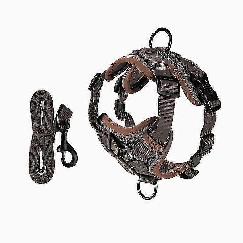 Cat Harness and Leash Set, Adjustable Kitten Harness and Leash Set with Reflective Strip, Breathable Net, Soft Safety Vest for Cat, Kitten, Puppy