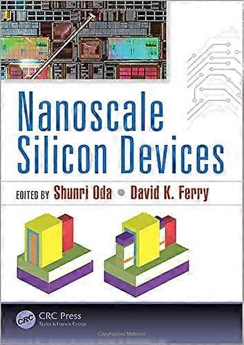 Nanoscale Silicon Devices