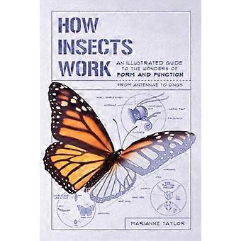 Hur insekter fungerar: En illustrerad guide till underverk form och funktion - Från antenner till vingar