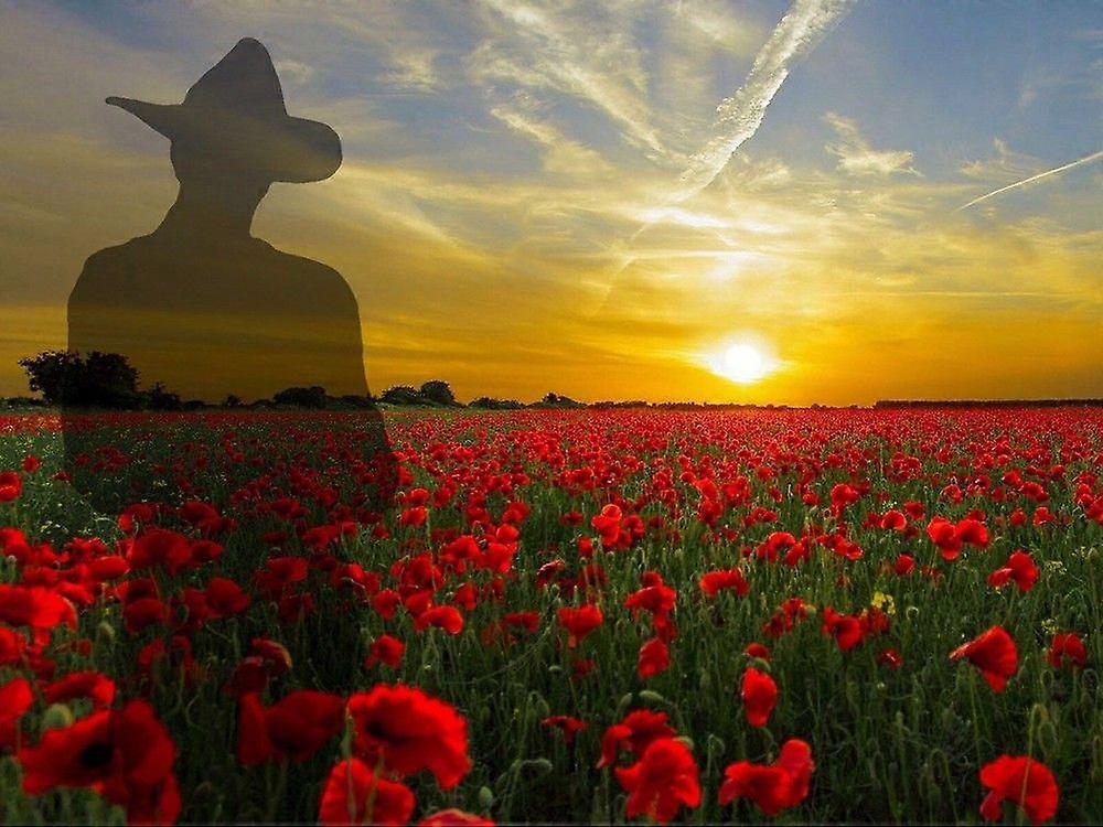 ANZAC Stresslindrende Puslespill V1779