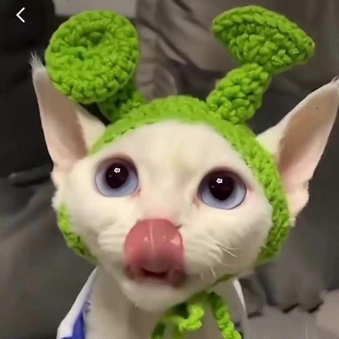 Sphynx-Friendly Punk Cat Hat