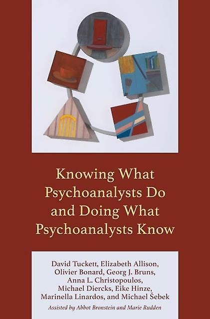 Knowing What Psychoanalysts Do And Doing What Psychoanalysts Know by Michael Sebek Paperback Book