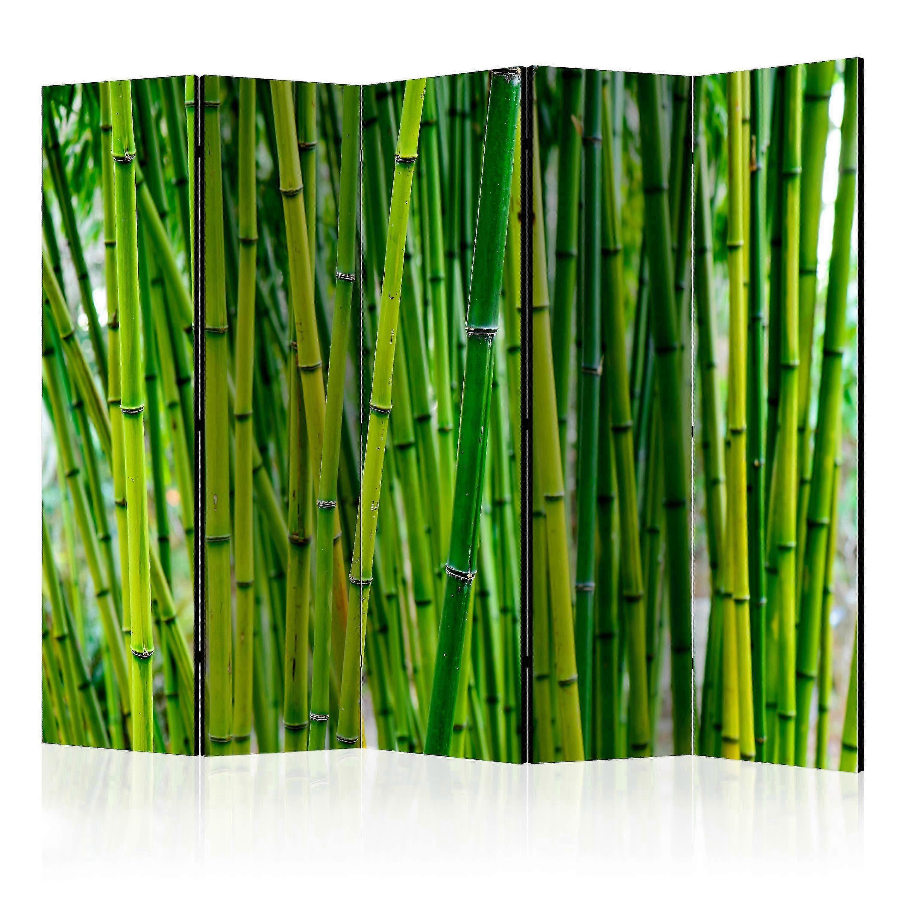 Scheidingswand - Bamboo Forest II