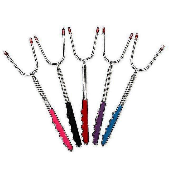 Roasting Sticks-set Of 5 Extendable Stainless Steel Skewers For Camping , Grillb